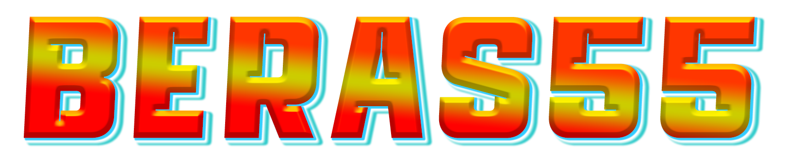 BERAS55